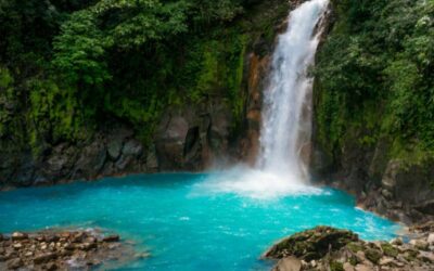 Rio Celeste Hike and Sloth Tour