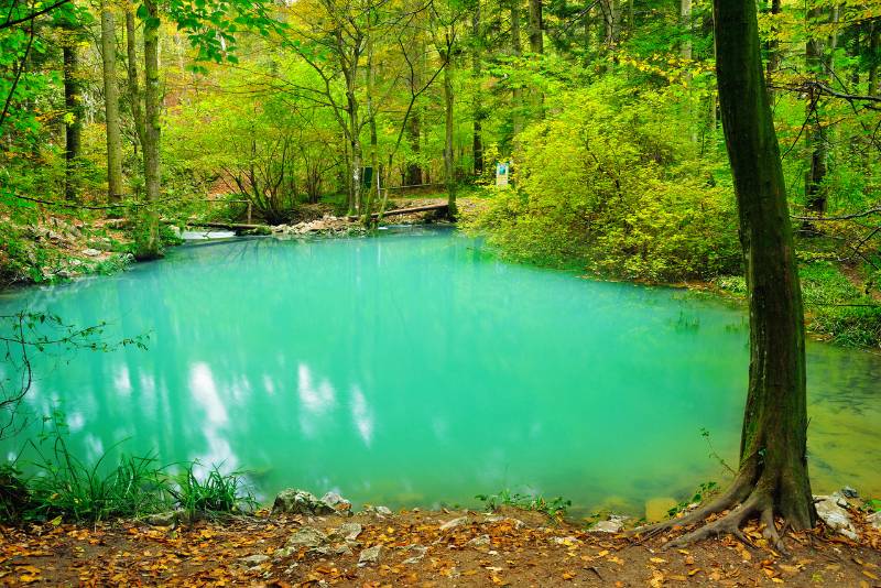 Rio Celeste guided hike Costa Rica