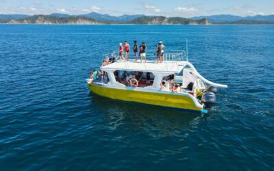 Ocean Seafari 2 in 1