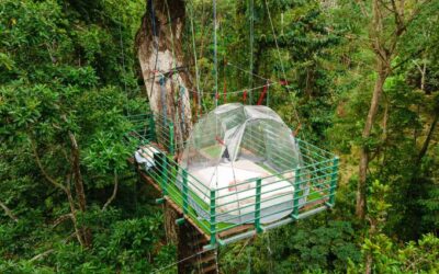 Stay at the Ceibo Tree