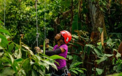 Ceibo Tree Climbing Tour